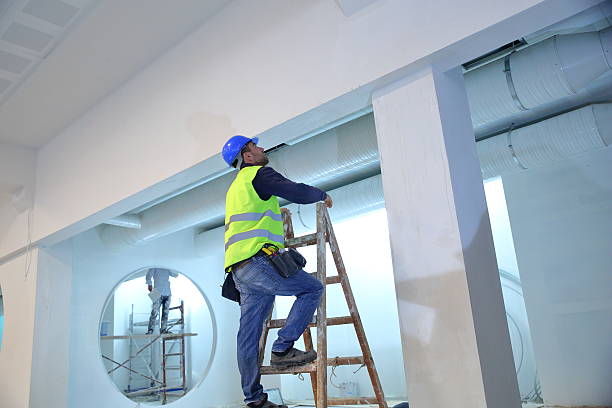  Mount Airy, GA Mold Removal Pros