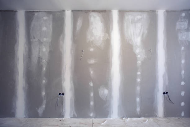 Best Forensic Mold Investigation  in Mount Airy, GA