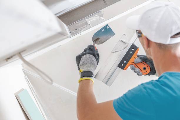 Best Mold-Related Health Consultation  in Mount Airy, GA